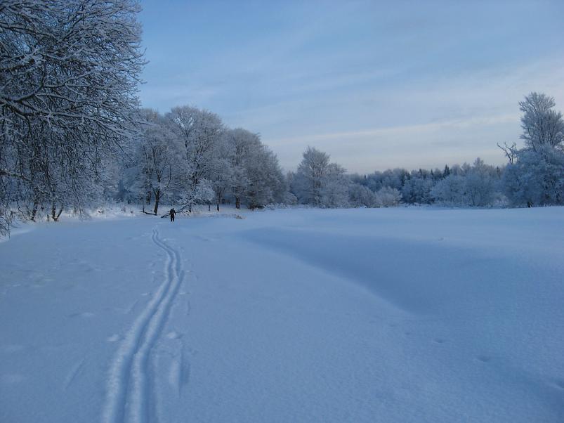 P�drasoos jaan. 2010