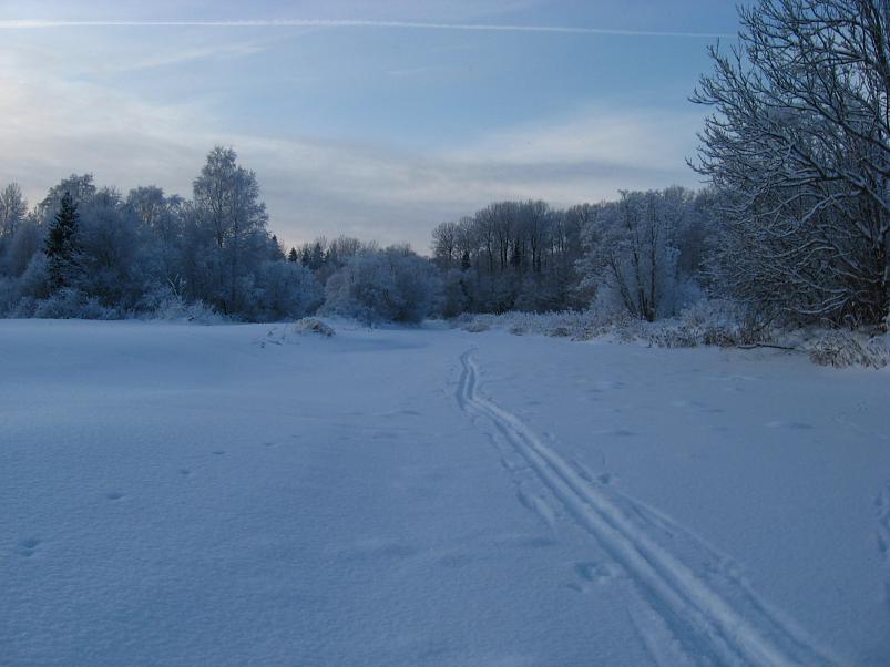 P�drasoos jaan. 2010