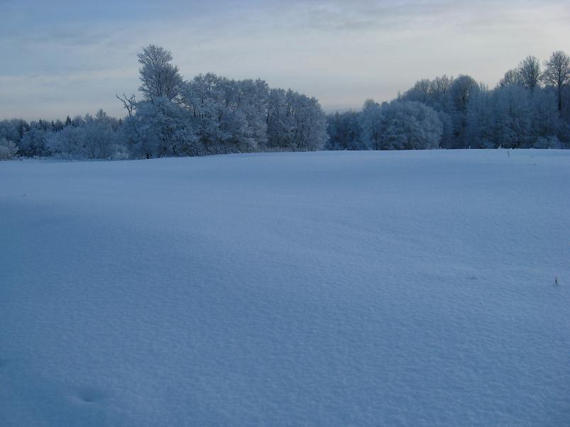 P�drasoos jaan. 2010