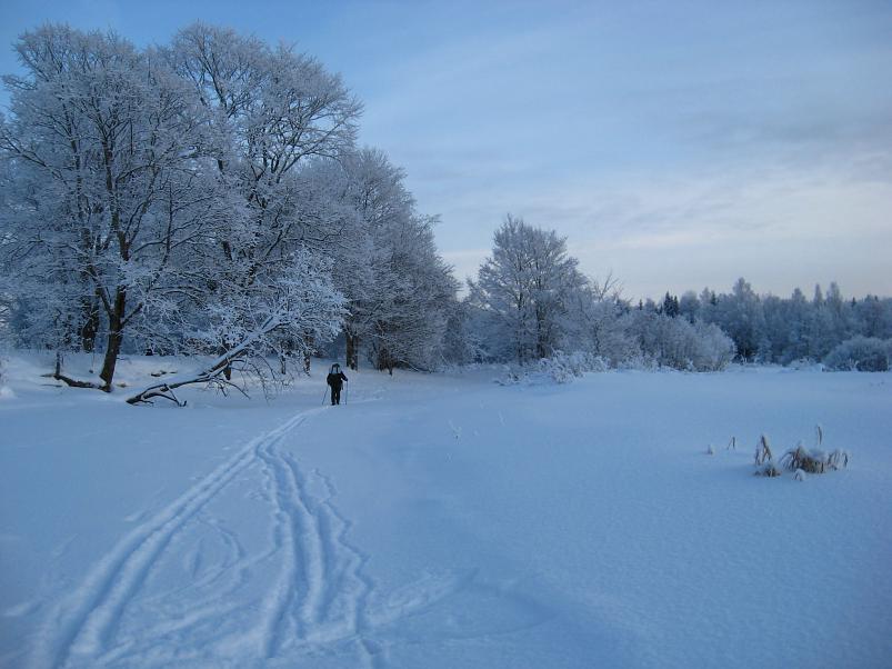 P�drasoos jaan. 2010