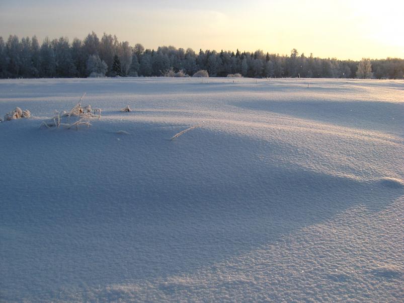 P�drasoos jaan. 2010