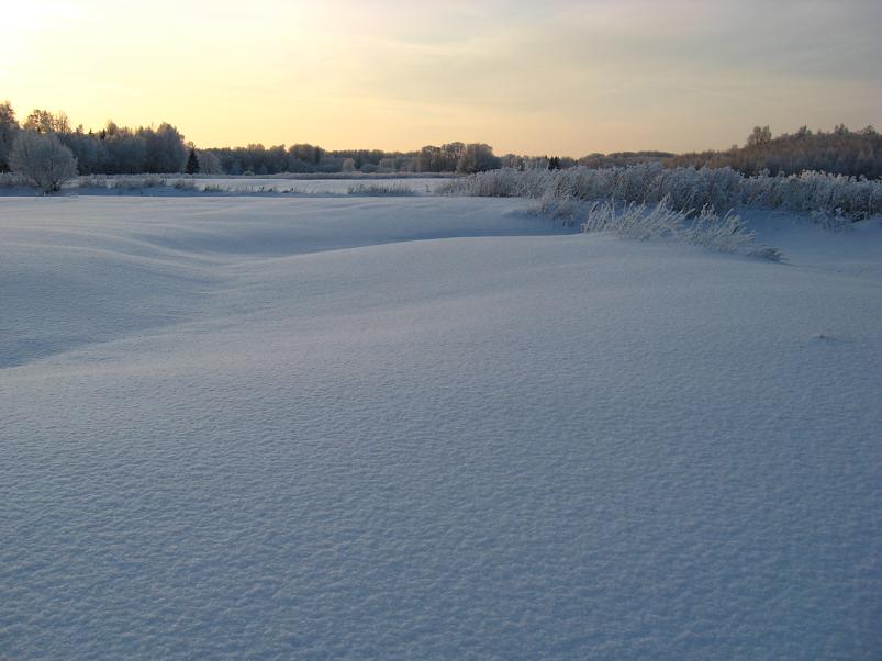 P�drasoos jaan. 2010