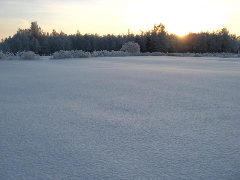 P�drasoos jaan. 2010