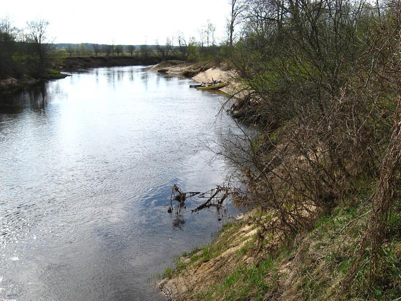 Koiva katamaraanimatk