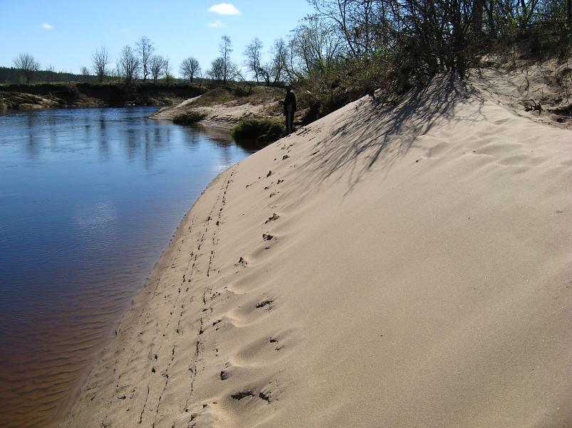 Koiva katamaraanimatk