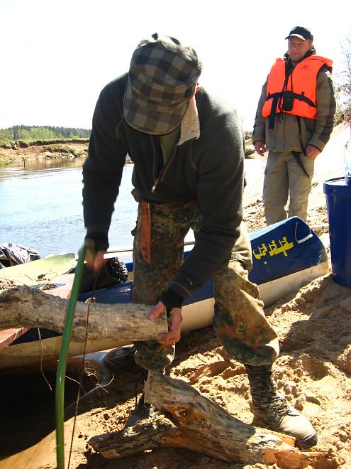 Koiva katamaraanimatk