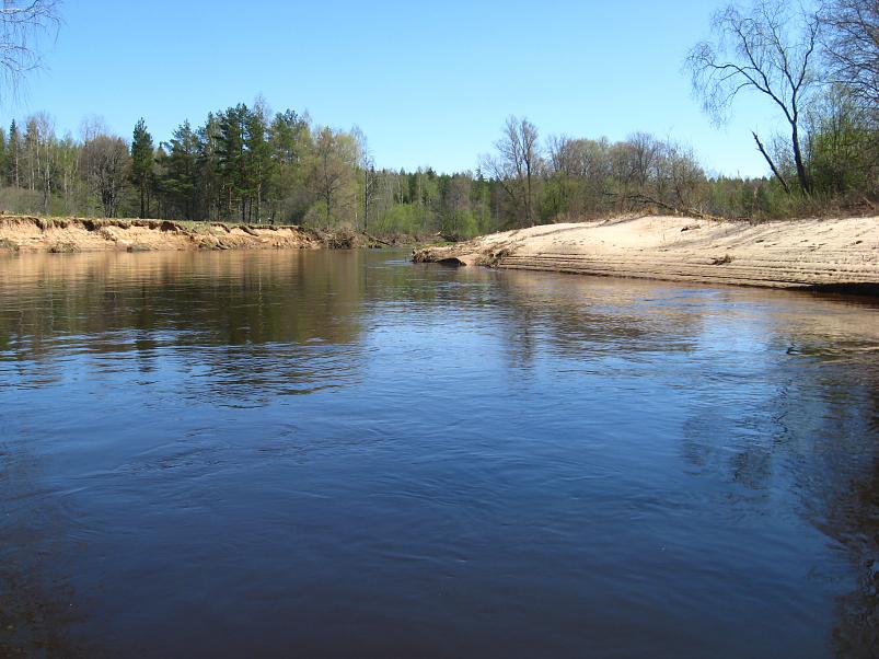 Koiva katamaraanimatk