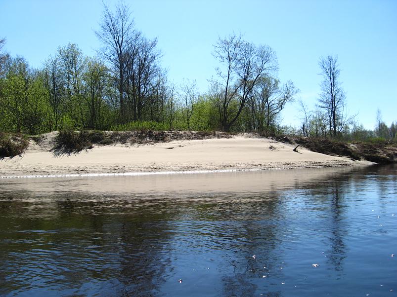 Koiva katamaraanimatk