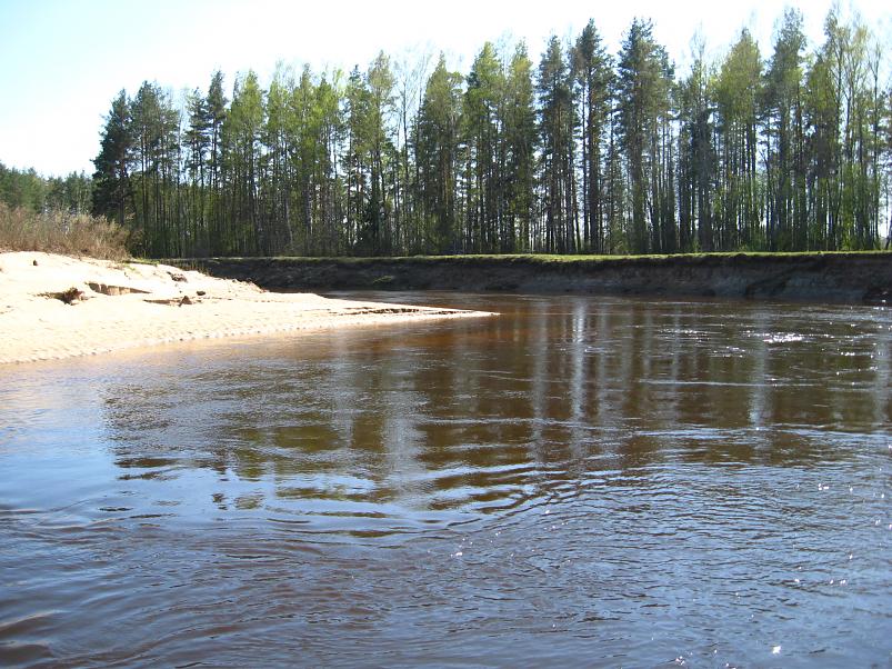 Koiva katamaraanimatk