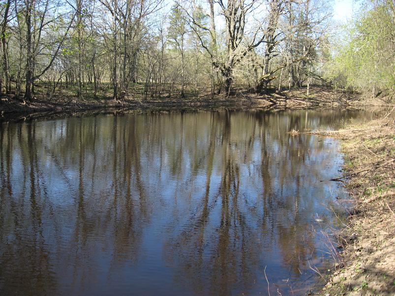 Koiva katamaraanimatk