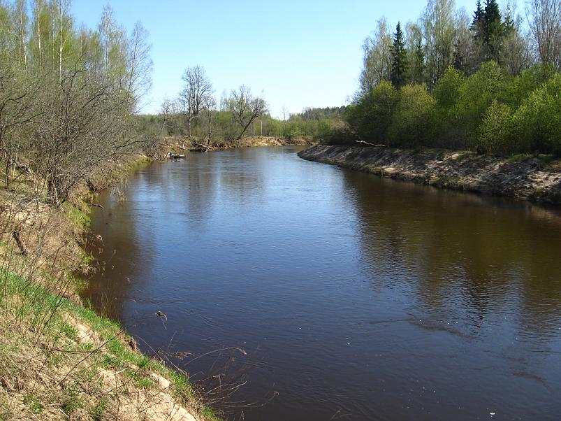 Koiva katamaraanimatk