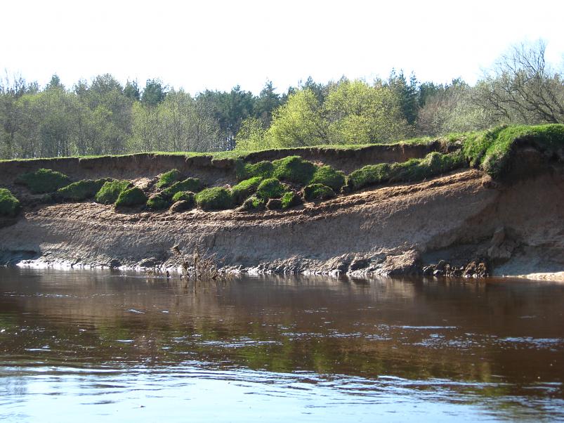 Koiva katamaraanimatk