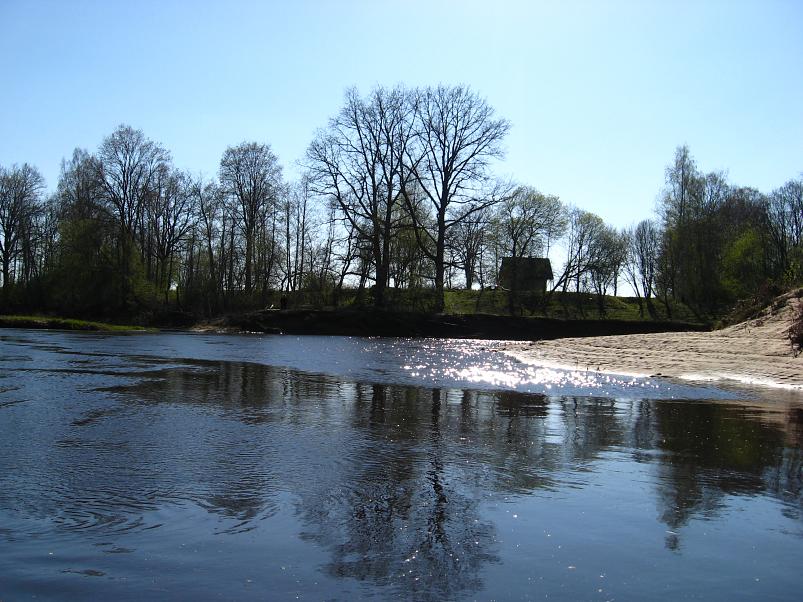 Koiva katamaraanimatk