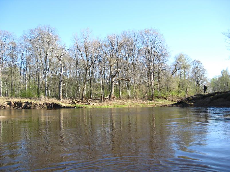 Koiva katamaraanimatk