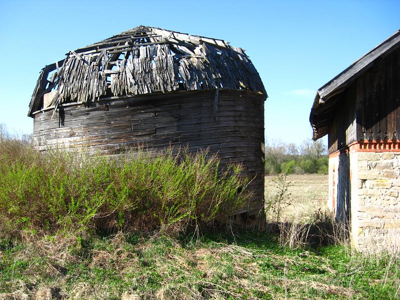 Koiva katamaraanimatk