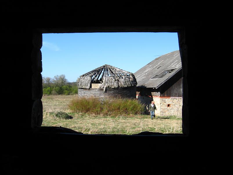 Koiva katamaraanimatk