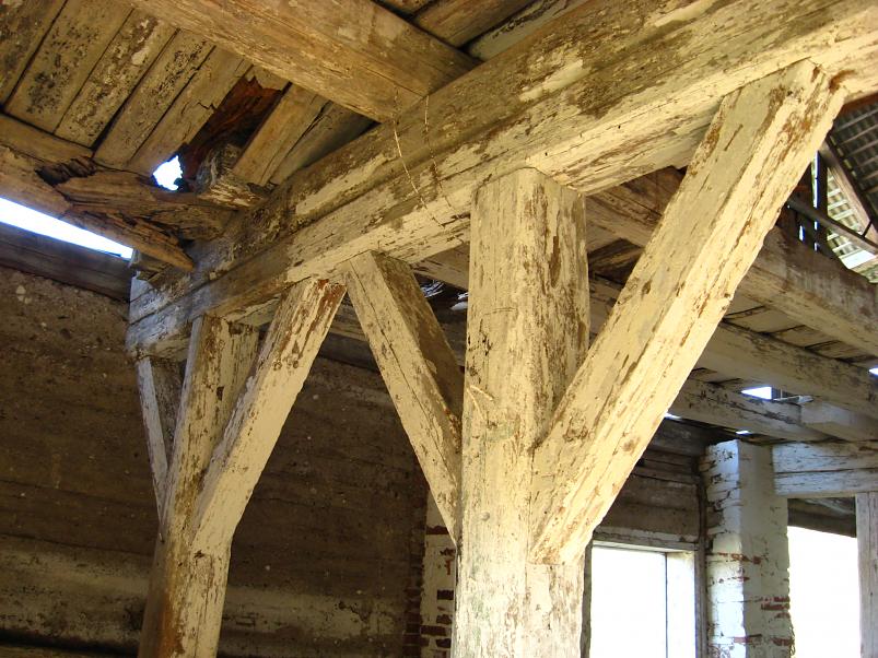 Koiva katamaraanimatk