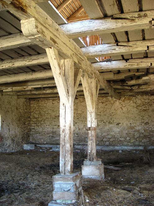 Koiva katamaraanimatk