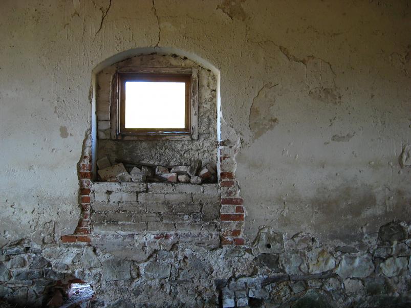 Koiva katamaraanimatk