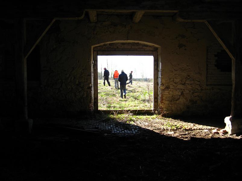 Koiva katamaraanimatk