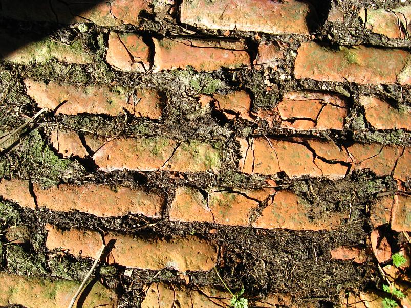 Koiva katamaraanimatk