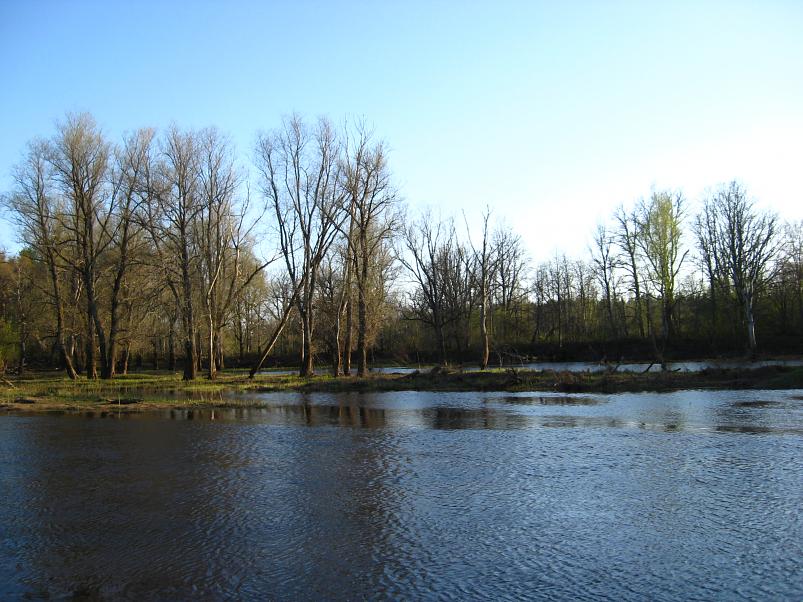 Koiva katamaraanimatk