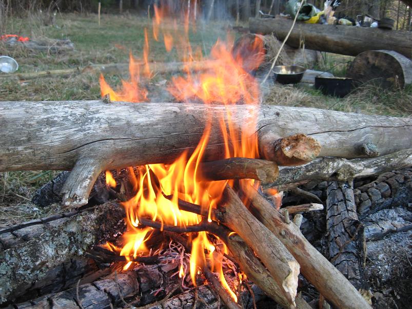 Koiva katamaraanimatk