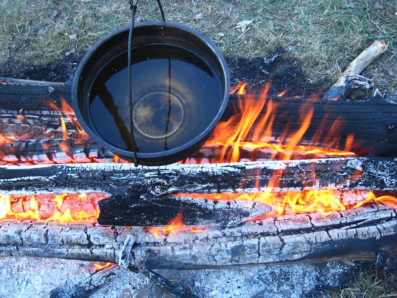 Koiva katamaraanimatk