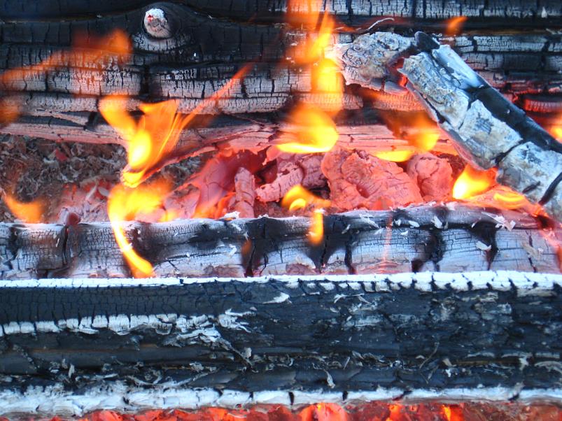 Koiva katamaraanimatk