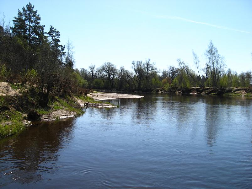 Koiva katamaraanimatk