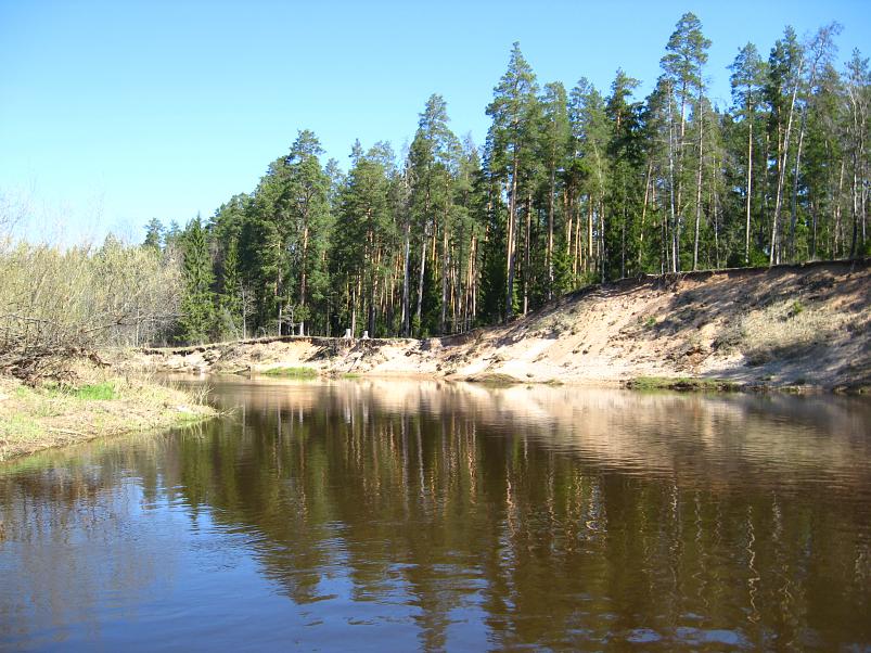 Koiva katamaraanimatk