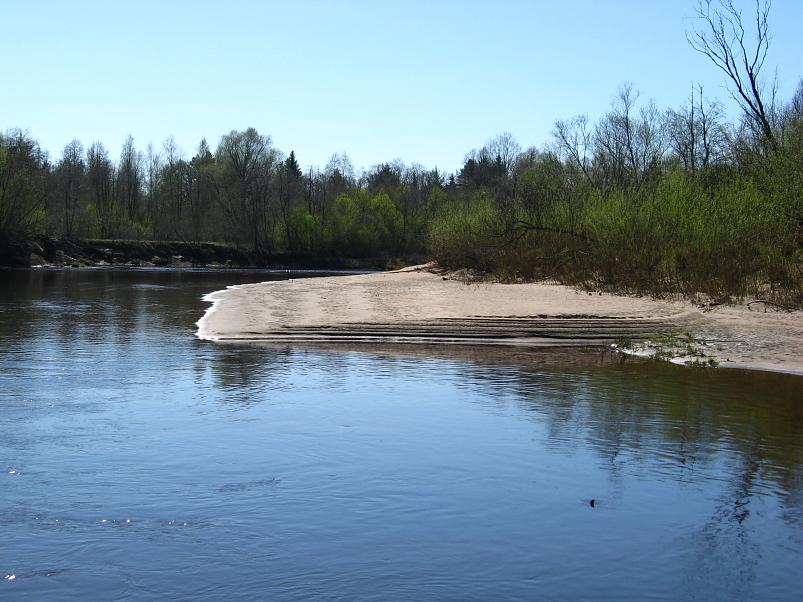 Koiva katamaraanimatk