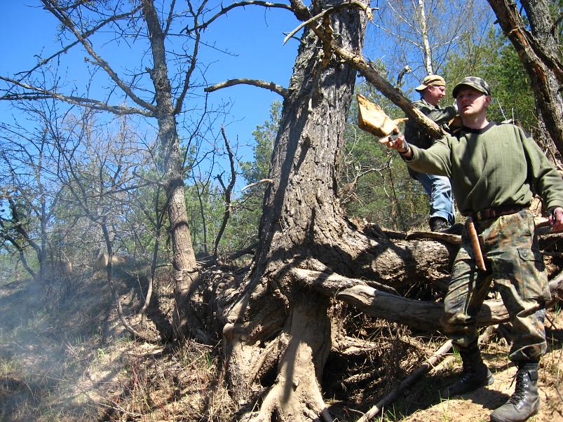 Koiva katamaraanimatk