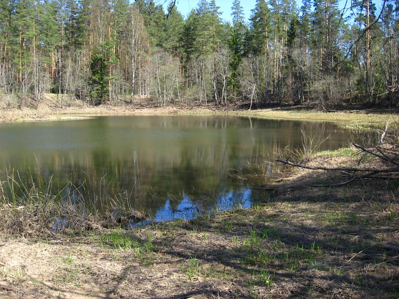 Koiva katamaraanimatk