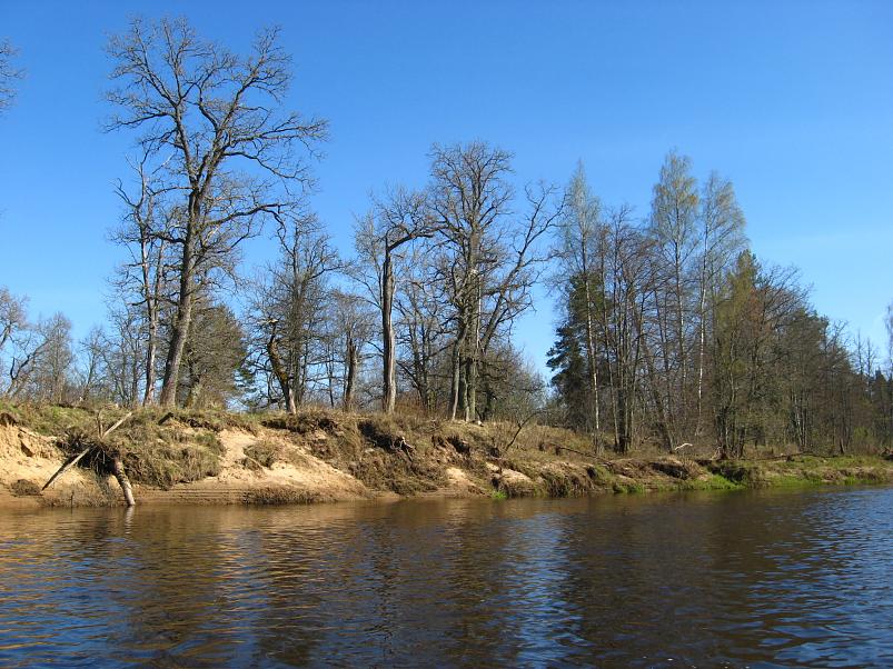 Koiva katamaraanimatk