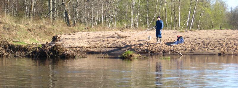 Koiva katamaraanimatk