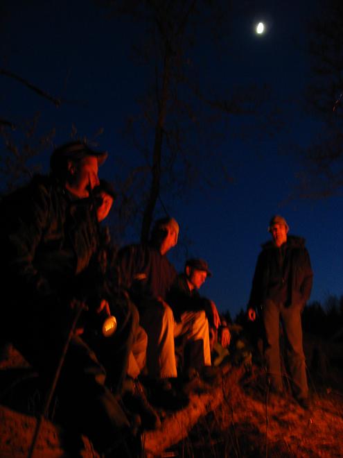 Koiva katamaraanimatk