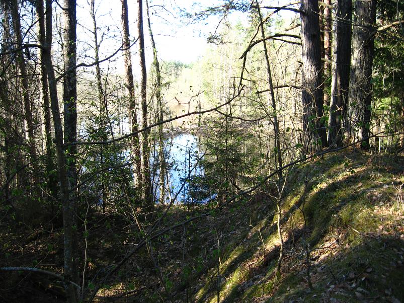 Koiva katamaraanimatk