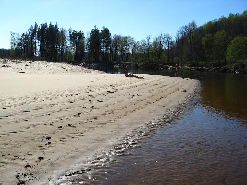 Koiva katamaraanimatk