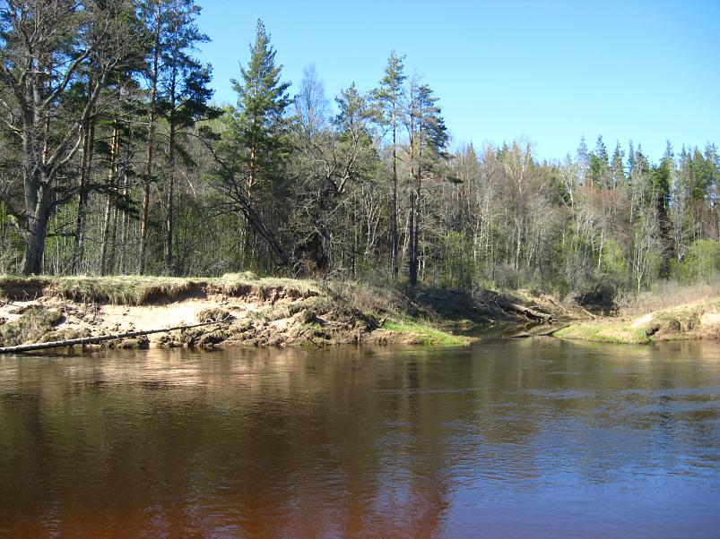 Koiva katamaraanimatk