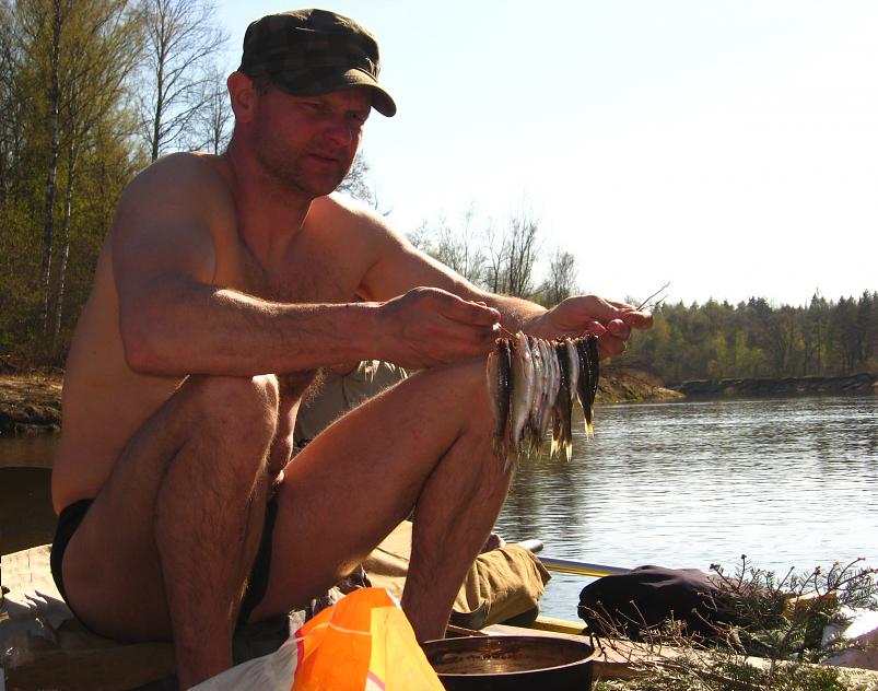 Koiva katamaraanimatk