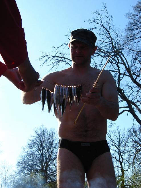 Koiva katamaraanimatk