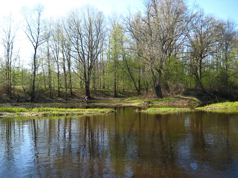 Koiva katamaraanimatk