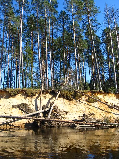 Koiva katamaraanimatk