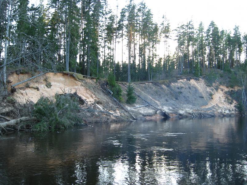 Koiva katamaraanimatk