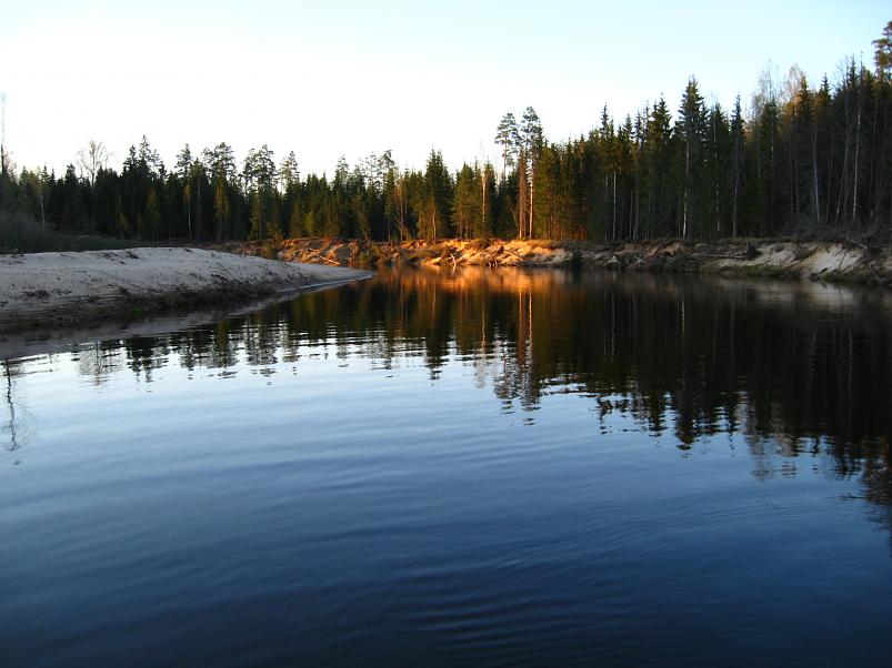 Koiva katamaraanimatk