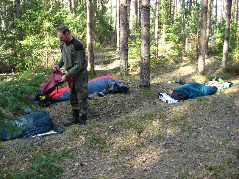 Koiva katamaraanimatk