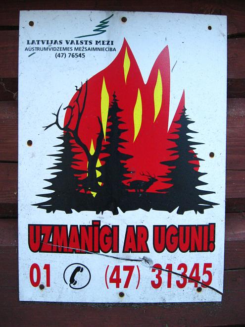 Koiva katamaraanimatk