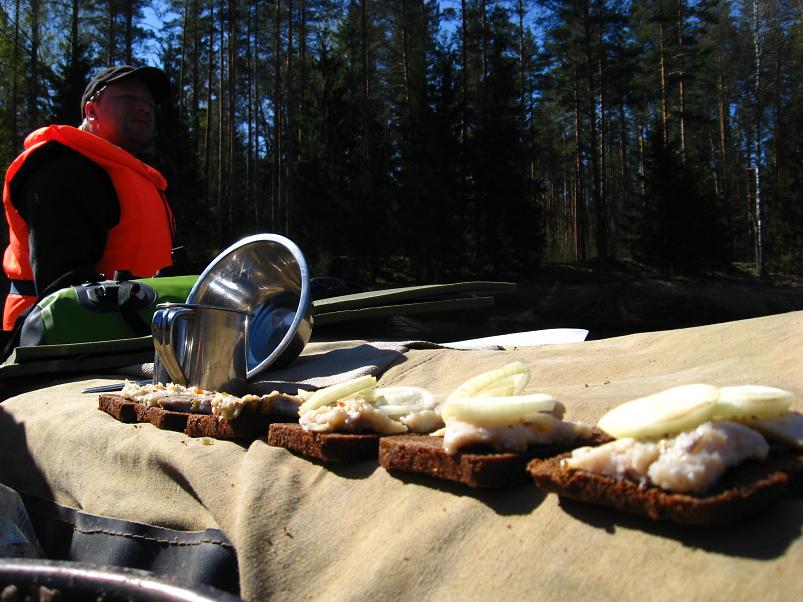 Koiva katamaraanimatk