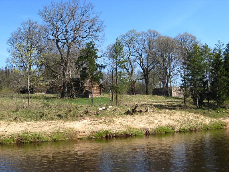 Koiva katamaraanimatk